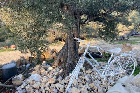 Landejendom i El Perello, Tarragona, El Perello - € 30.000 | Ref: Finca Javier Bi - foto 2